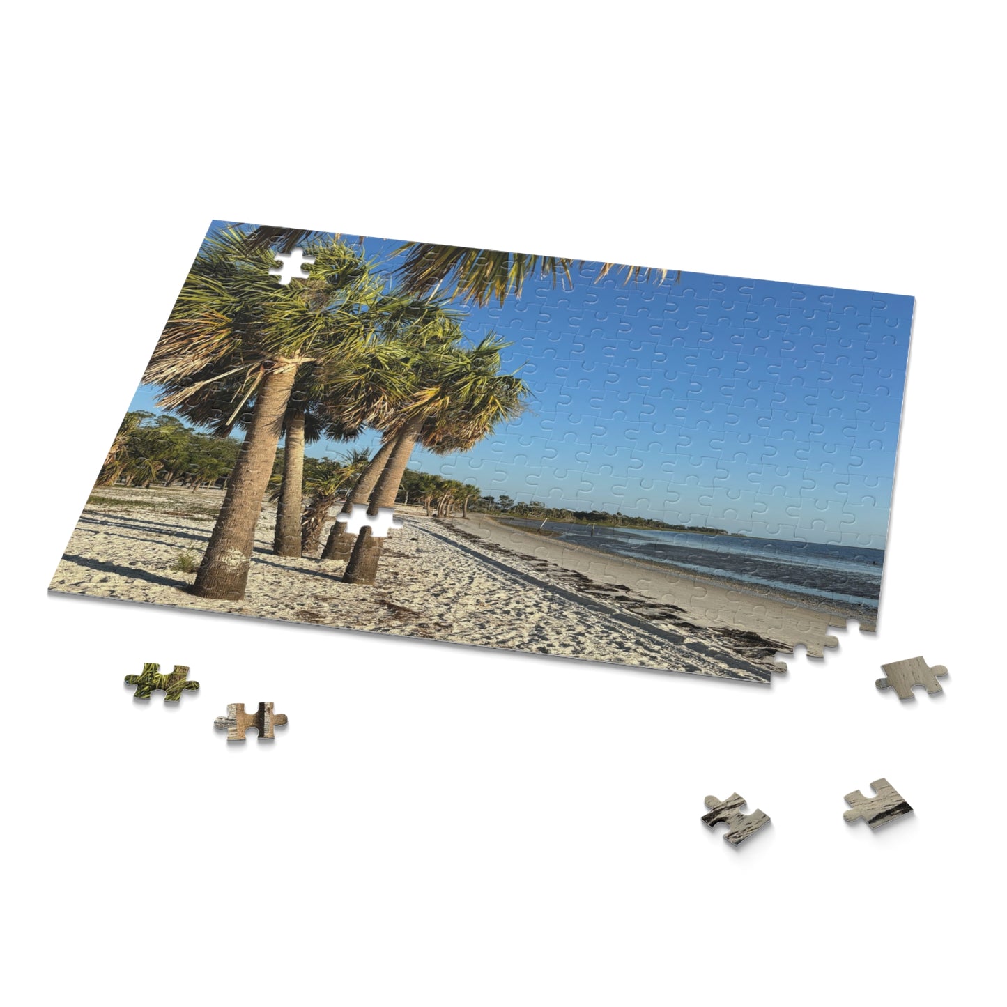 Nature Coast Beach Scenic Puzzle (120, 252, 500-Piece)