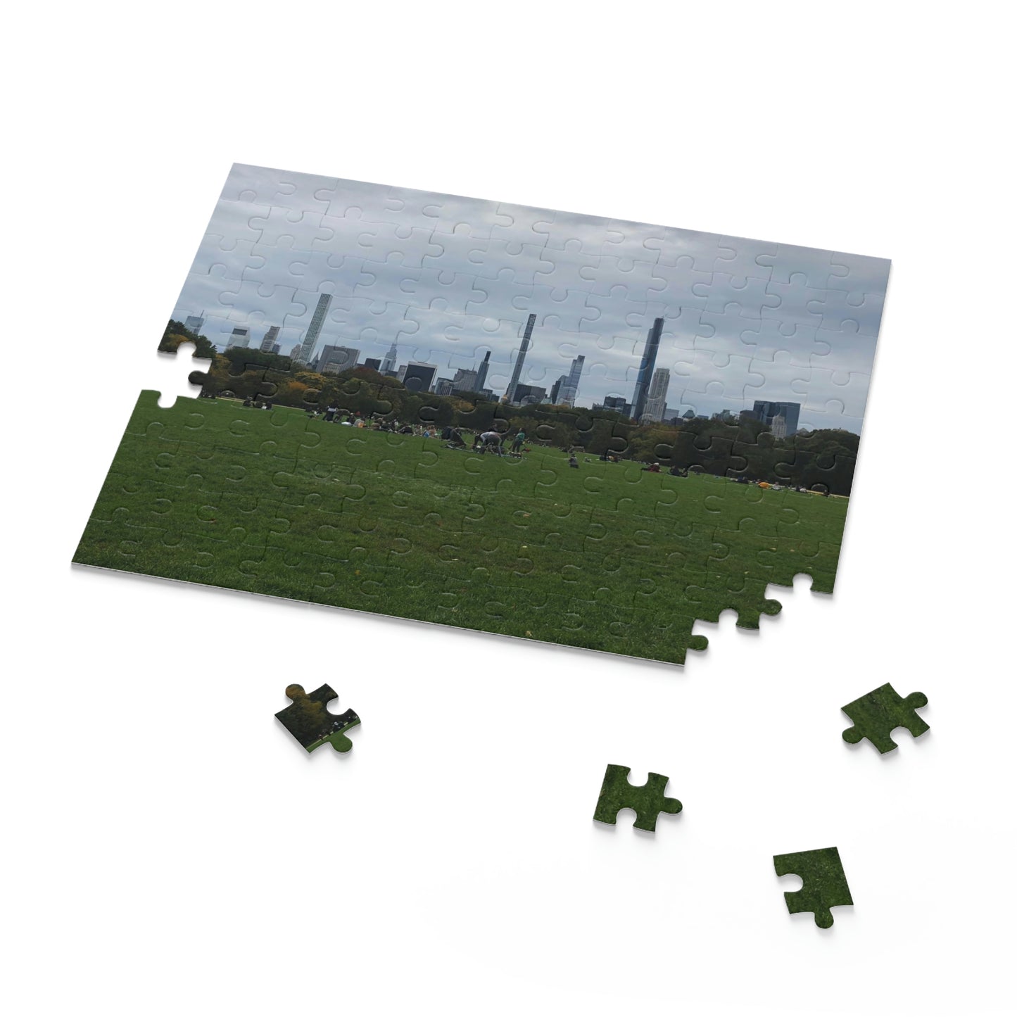 Central Park Scenic Puzzle (120, 252, 500-Piece)