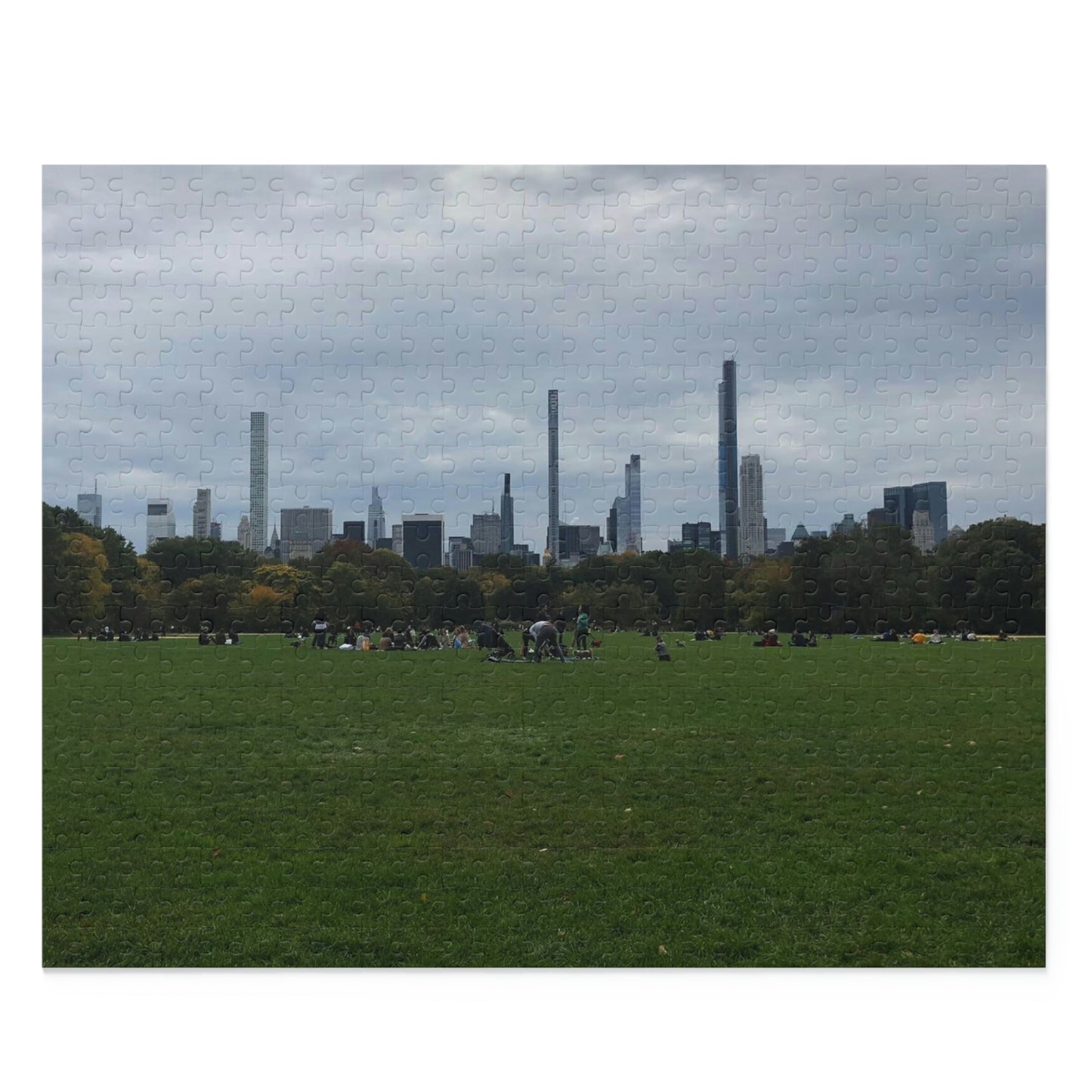 Central Park Scenic Puzzle (120, 252, 500-Piece)