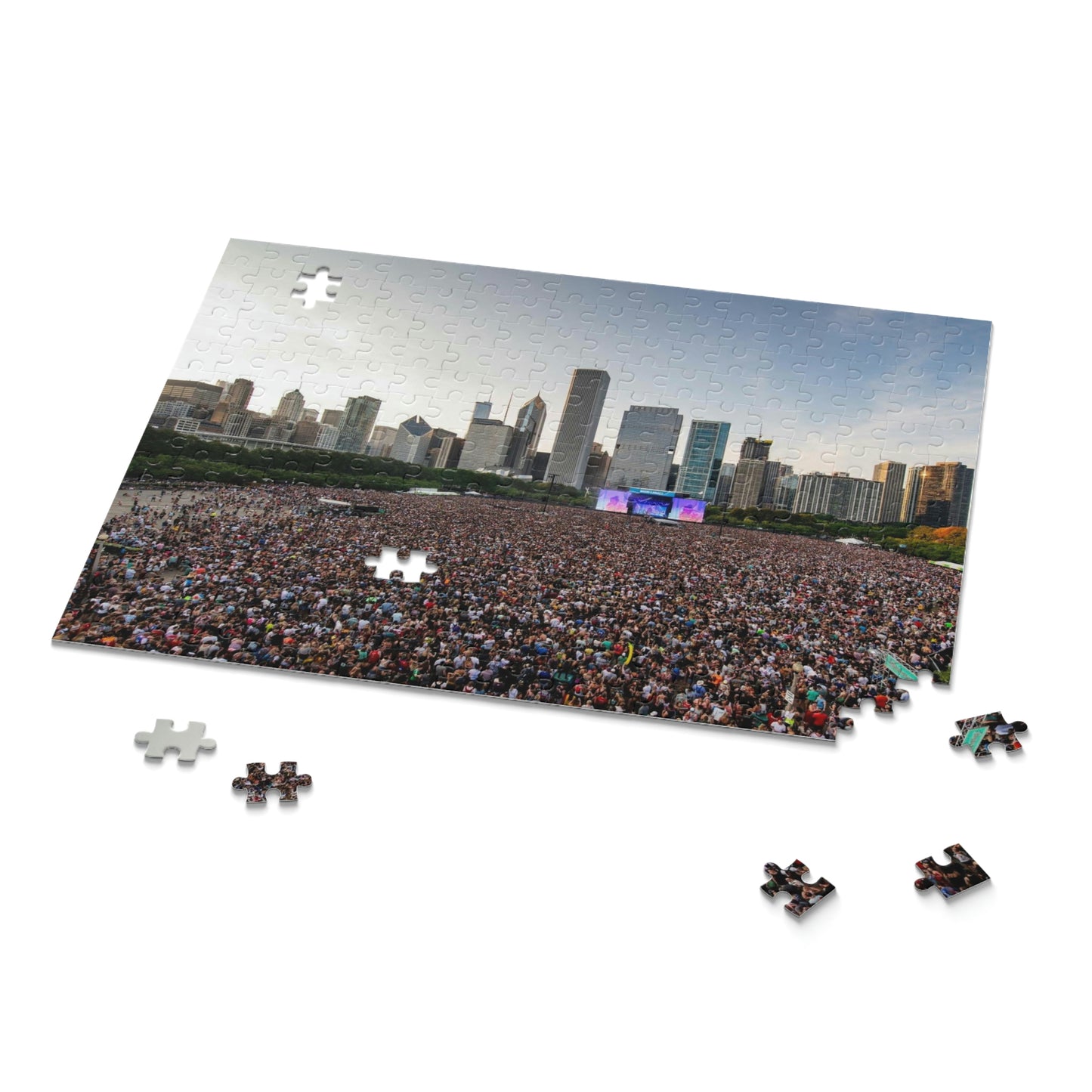 Lollapalooza Chicago Scenic Puzzle (120, 252, 500-Piece)