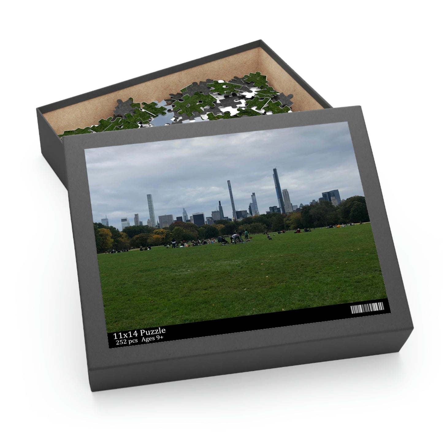 Central Park Scenic Puzzle (120, 252, 500-Piece)