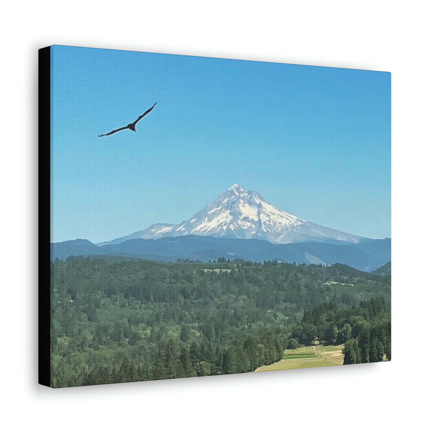 Mt Hood Scenic Canvas Gallery Wraps