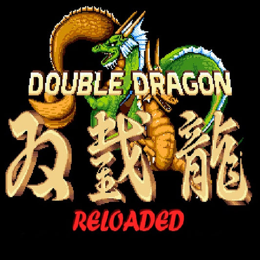 Double Dragon Reloaded Custom PC Game