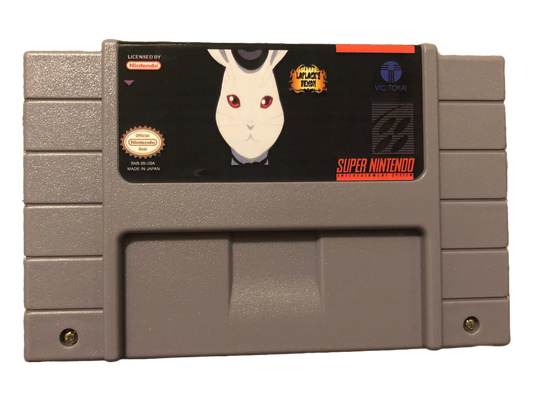 Laplace's Demon Super Nintendo SNES Video Game