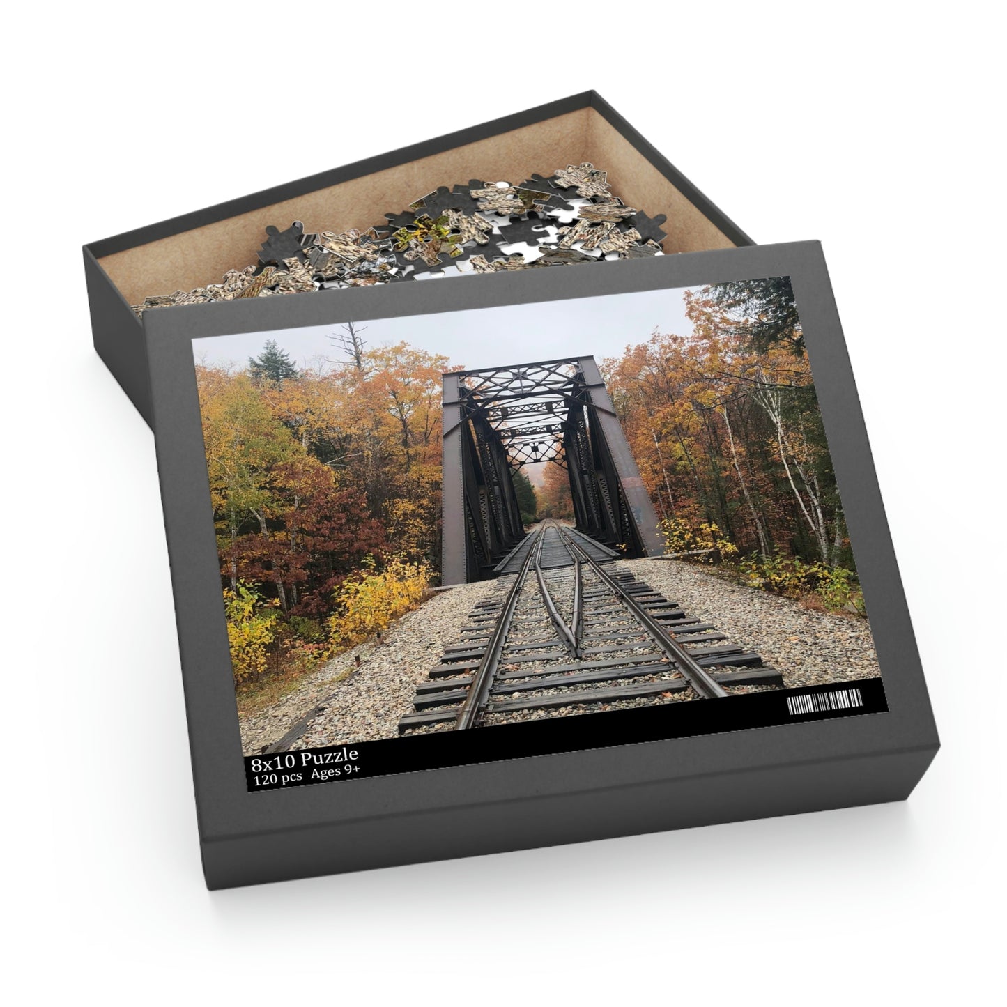 Train Tracks Scenic Puzzle (120, 252, 500-Piece)