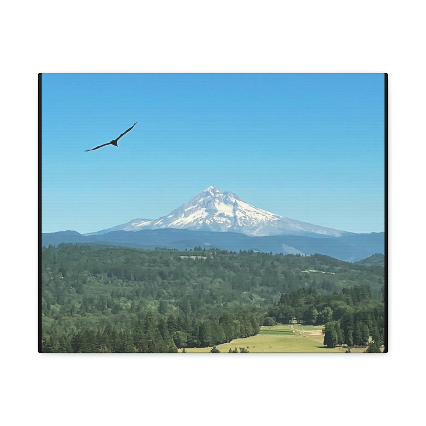 Mt Hood Scenic Canvas Gallery Wraps