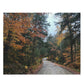 Fall Road in New England Scenic Puzzle (120, 252, 500-Piece)