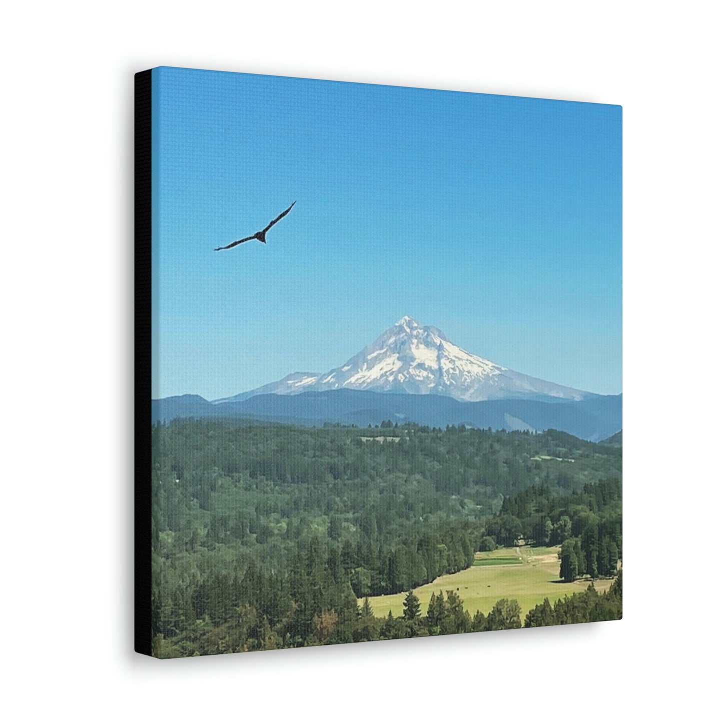 Mt Hood Scenic Canvas Gallery Wraps
