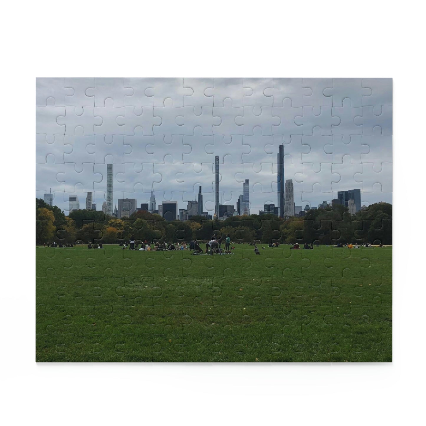 Central Park Scenic Puzzle (120, 252, 500-Piece)