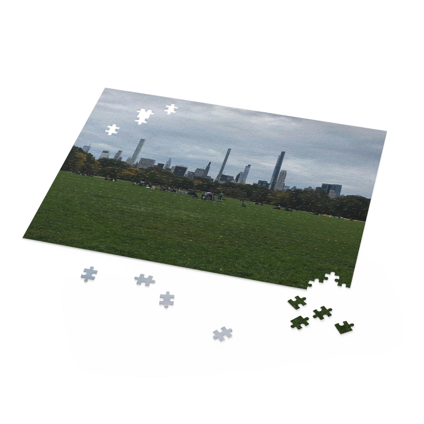 Central Park Scenic Puzzle (120, 252, 500-Piece)