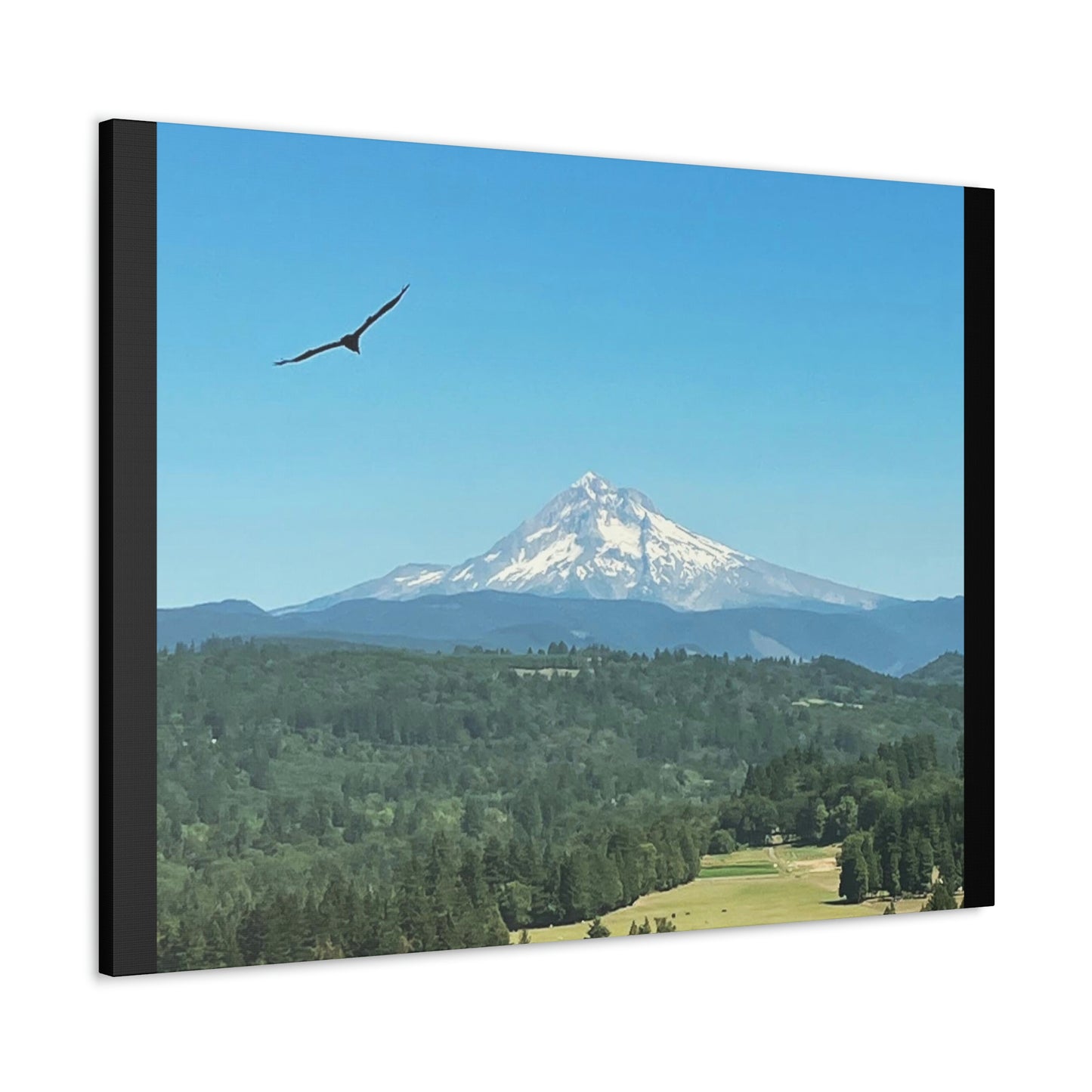 Mt Hood Scenic Canvas Gallery Wraps