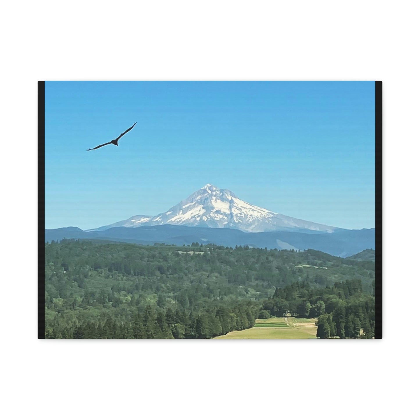 Mt Hood Scenic Canvas Gallery Wraps