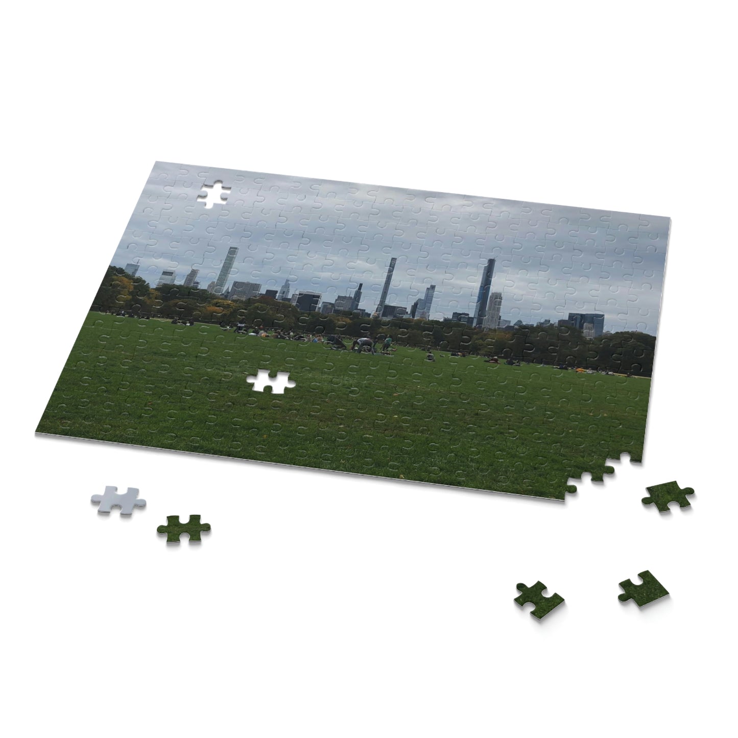 Central Park Scenic Puzzle (120, 252, 500-Piece)