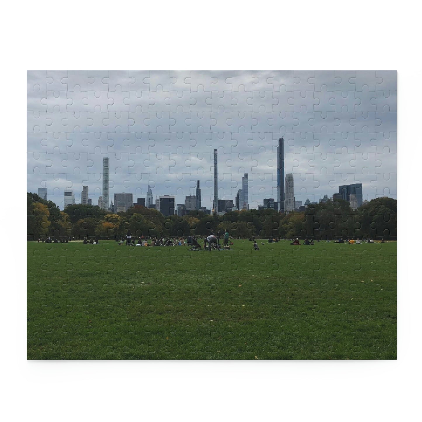 Central Park Scenic Puzzle (120, 252, 500-Piece)
