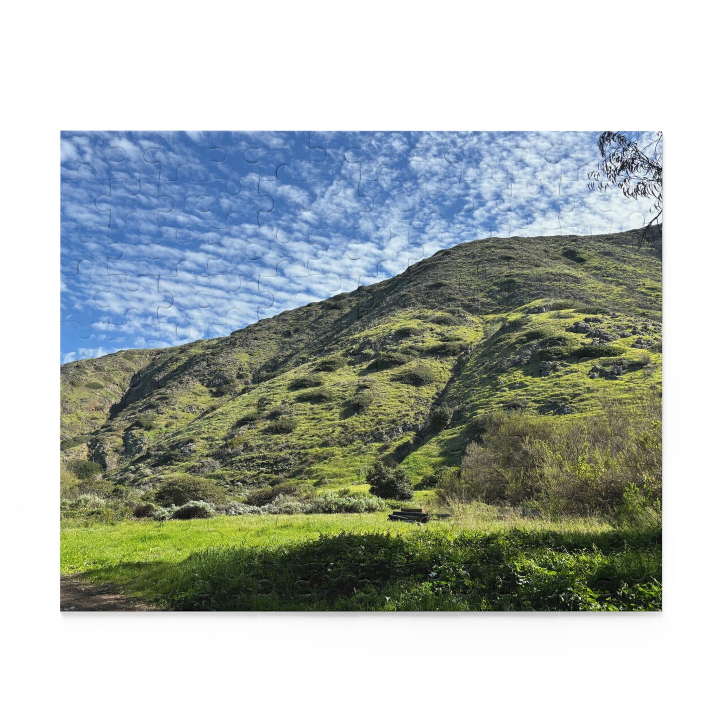 Channel Islands Santa Cruz Green Hills Puzzle (120, 252, 500-Piece)