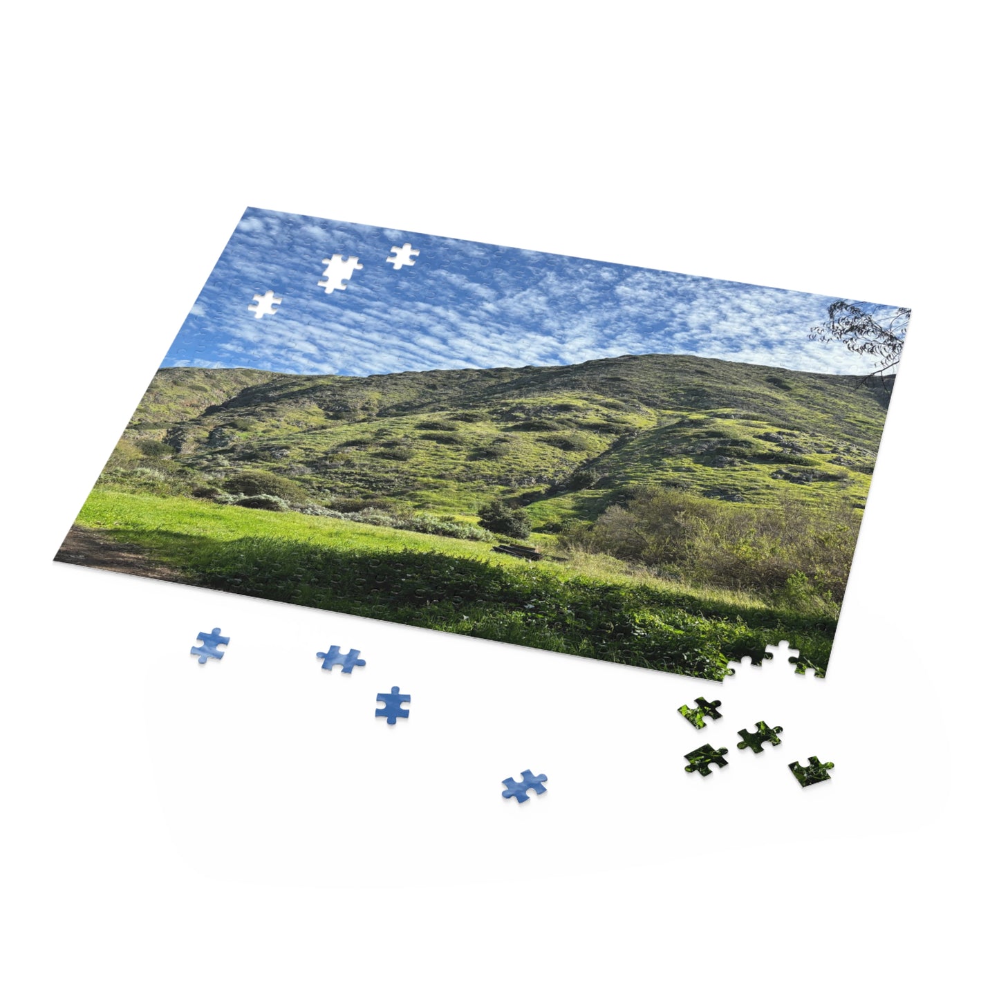 Channel Islands Santa Cruz Green Hills Puzzle (120, 252, 500-Piece)