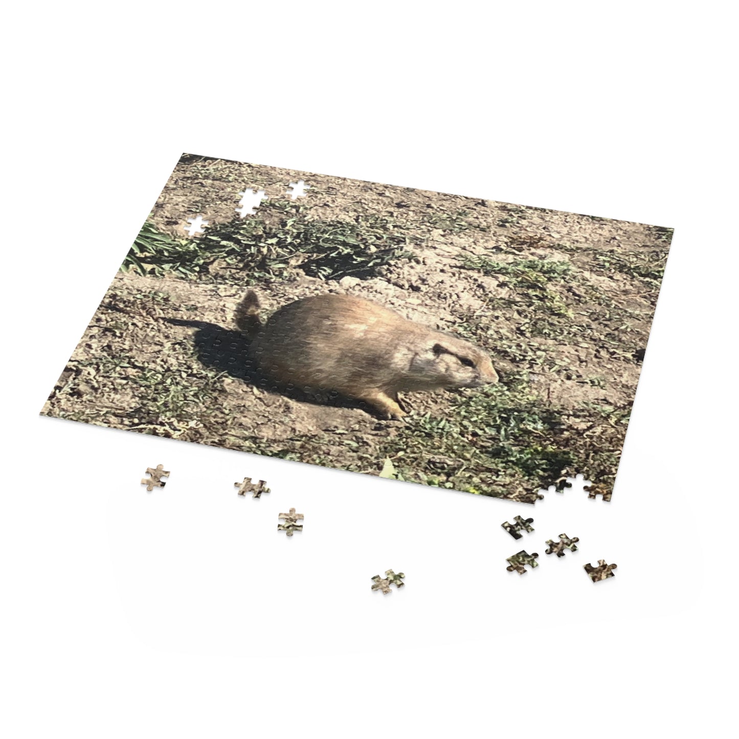 Prairie Dog in Nature Puzzle (120, 252, 500-Piece)