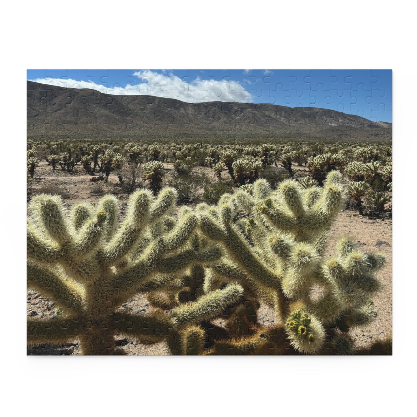 Joshua Tree National Park Cholla Cactus Garden Scenic Puzzle (120, 252, 500-Piece)