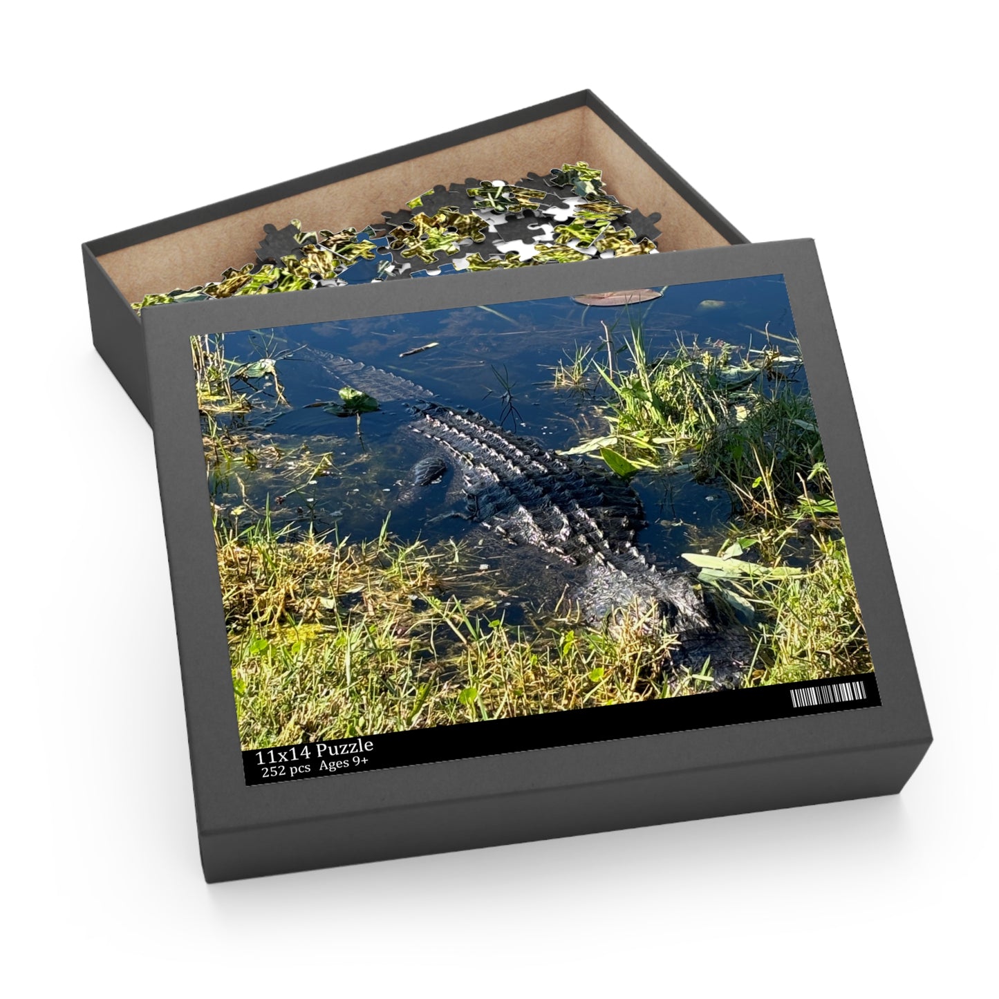 Everglades National Park Scenic Puzzle (120, 252, 500-Piece)