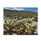 Joshua Tree National Park Cholla Cactus Garden Scenic Puzzle (120, 252, 500-Piece)