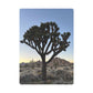 Joshua Tree Scenic View Playing Cards