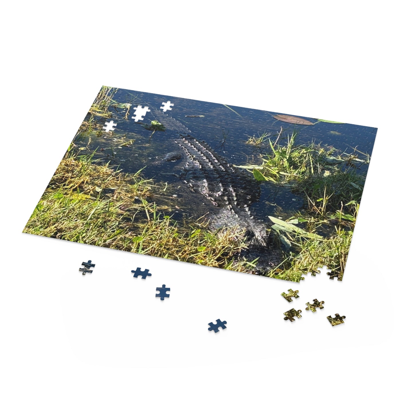 Everglades National Park Scenic Puzzle (120, 252, 500-Piece)