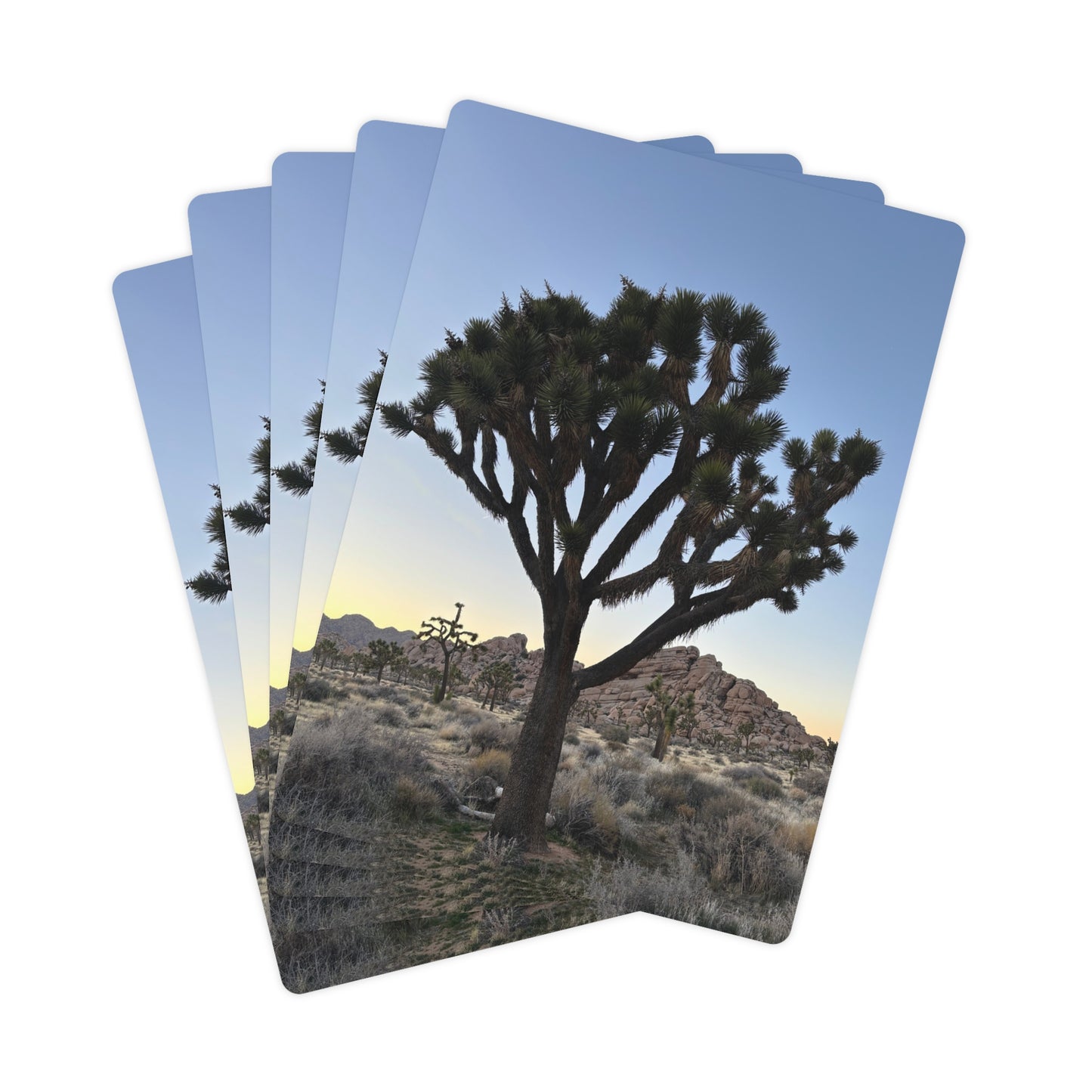 Joshua Tree Scenic View Playing Cards