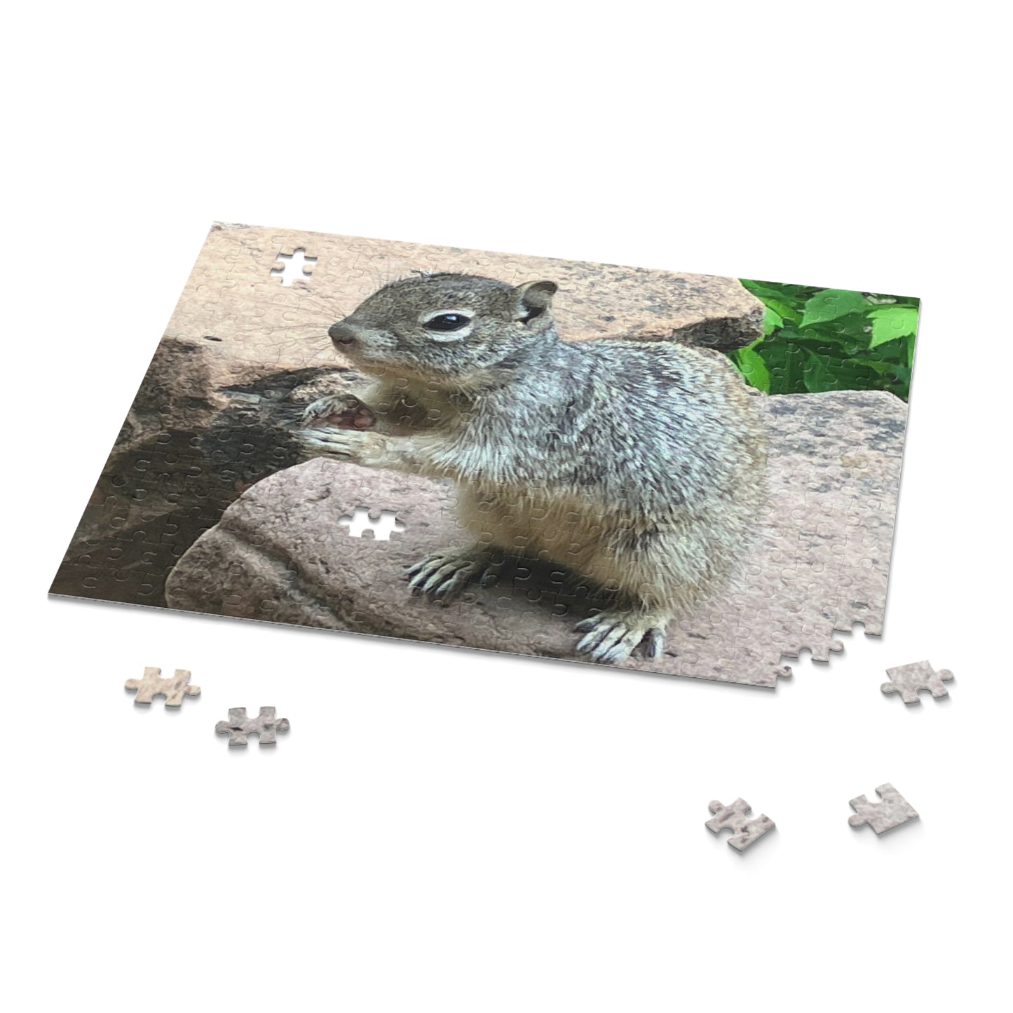 Squirrel in Nature Puzzle (120, 252, 500-Piece)