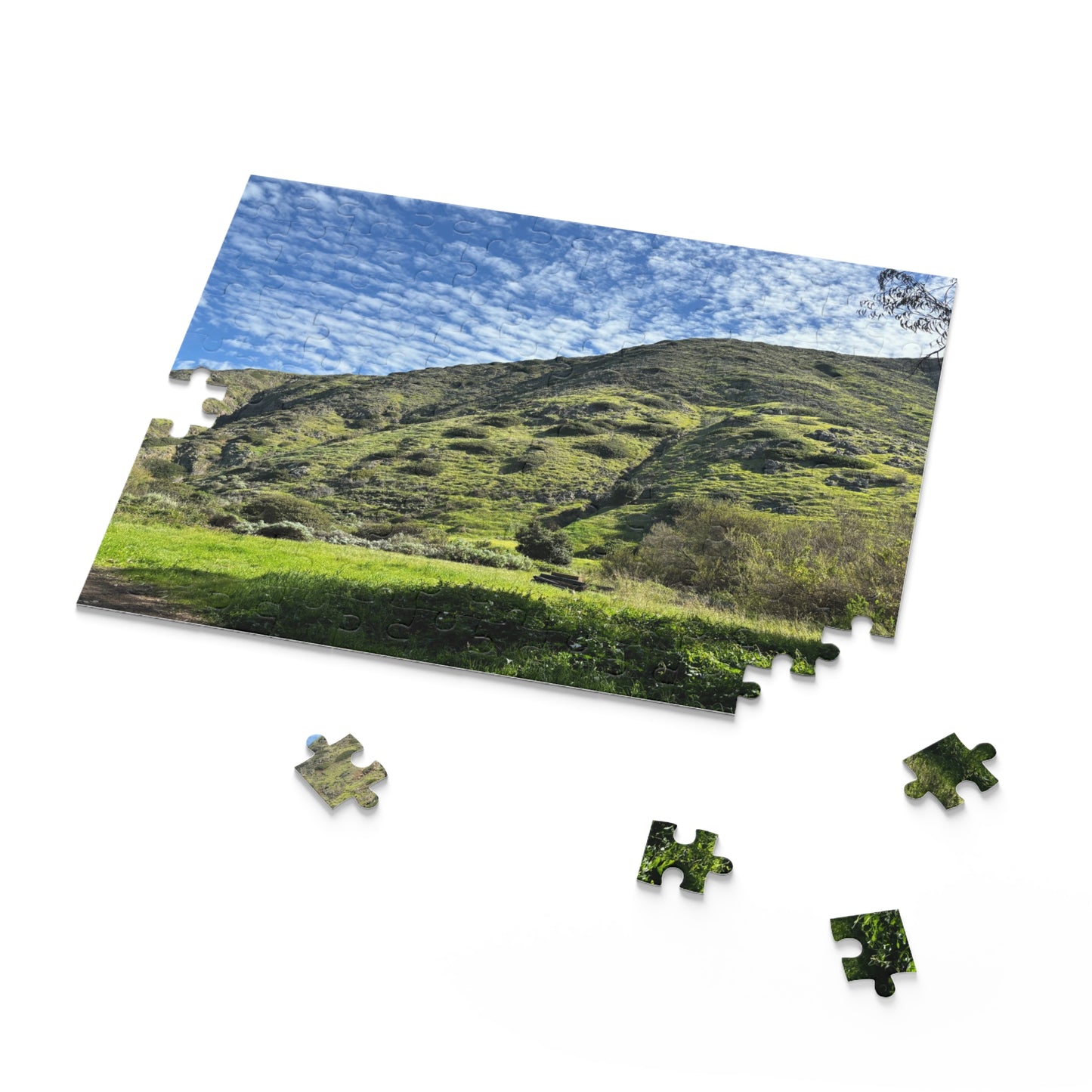 Channel Islands Santa Cruz Green Hills Puzzle (120, 252, 500-Piece)