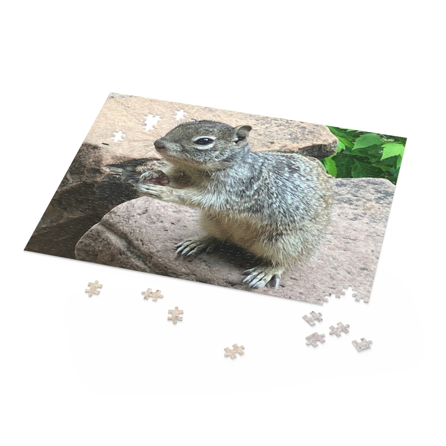 Squirrel in Nature Puzzle (120, 252, 500-Piece)