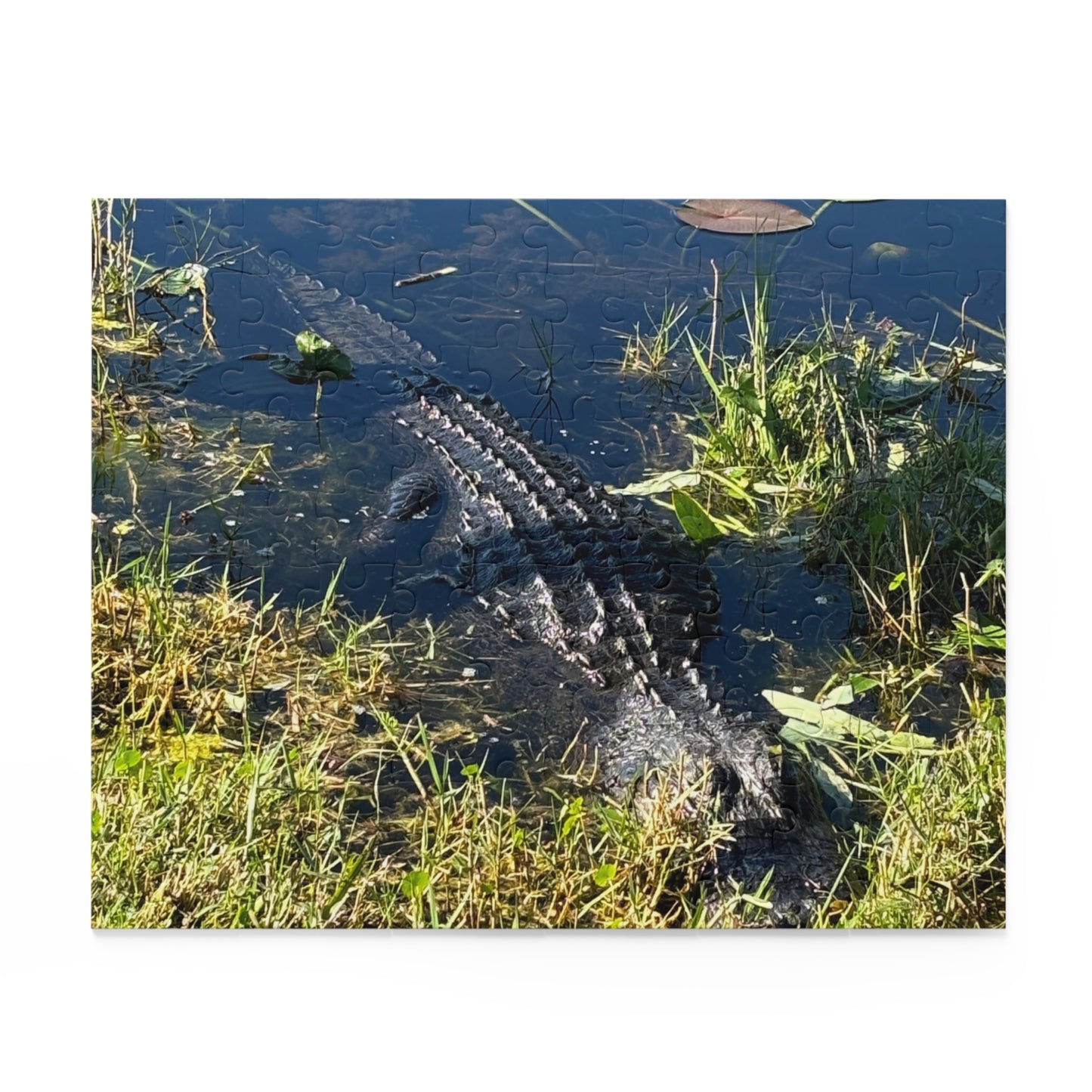 Everglades National Park Scenic Puzzle (120, 252, 500-Piece)