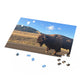 Theodore Roosevelt National Park Bison Puzzle (120, 252, 500-Piece)