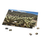 Joshua Tree National Park Cholla Cactus Garden Scenic Puzzle (120, 252, 500-Piece)