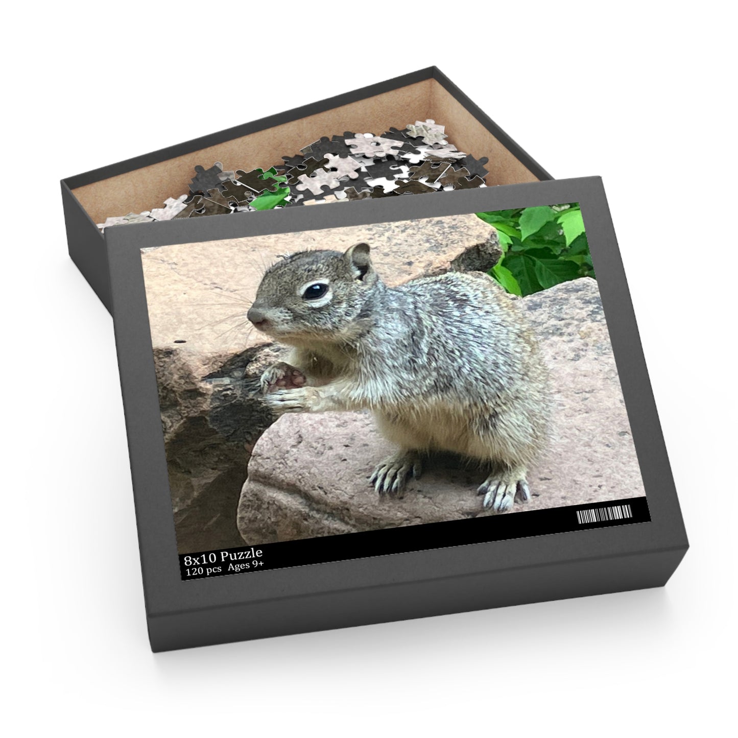 Squirrel in Nature Puzzle (120, 252, 500-Piece)