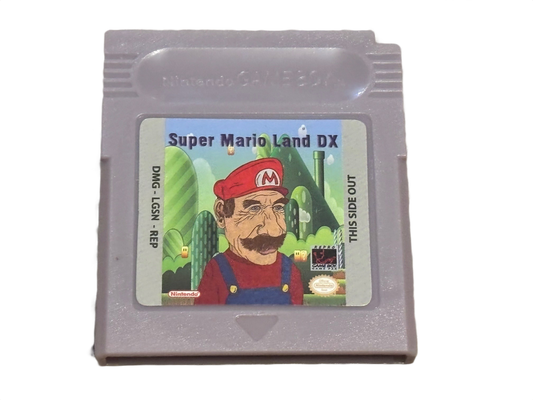 Super Mario Land DX Nintendo Game Boy Color Video Game