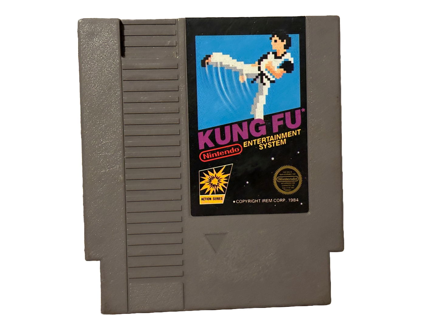 Kung Fu Nintendo NES Video Game