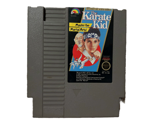 The Karate Kid Nintendo NES Video Game