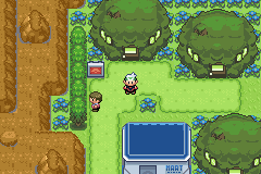 Pokémon League of Legends Nintendo Game Boy Advance GBA Video Game