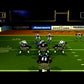 Arena Football Sony PlayStation 2 PS2 Game