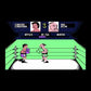 Fight Night Atari 7800 Video Game