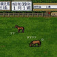 Thoroughbred Breeder II Nintendo Super Famicom SHVC-QW