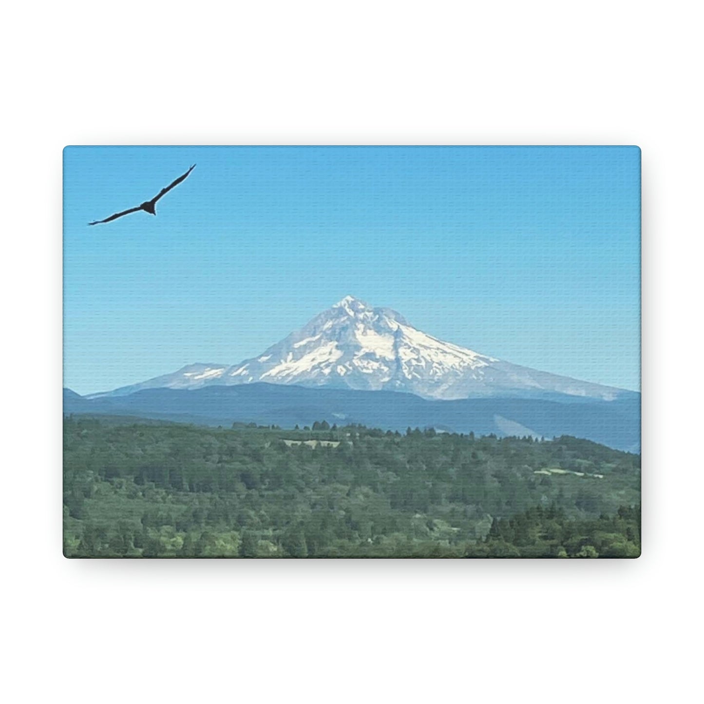 Mt Hood Scenic Canvas Gallery Wraps