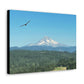 Mt Hood Scenic Canvas Gallery Wraps