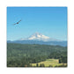 Mt Hood Scenic Canvas Gallery Wraps