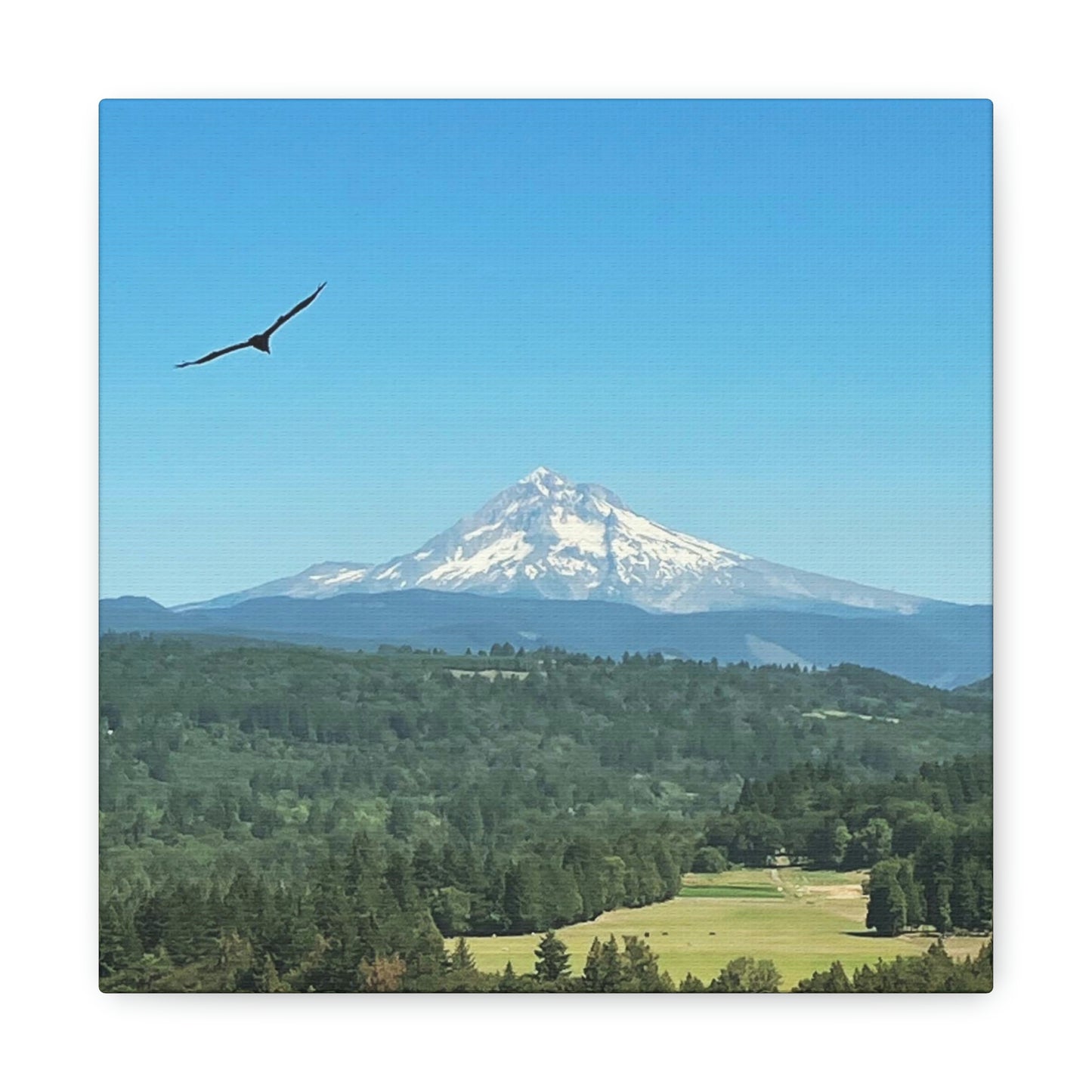 Mt Hood Scenic Canvas Gallery Wraps