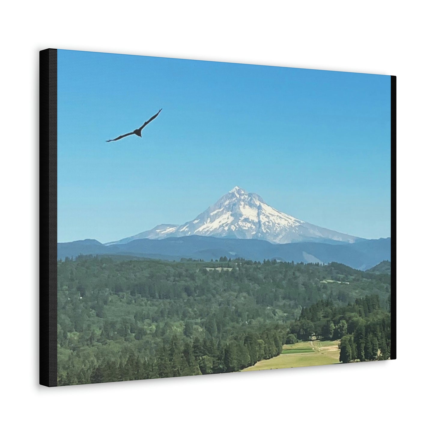 Mt Hood Scenic Canvas Gallery Wraps