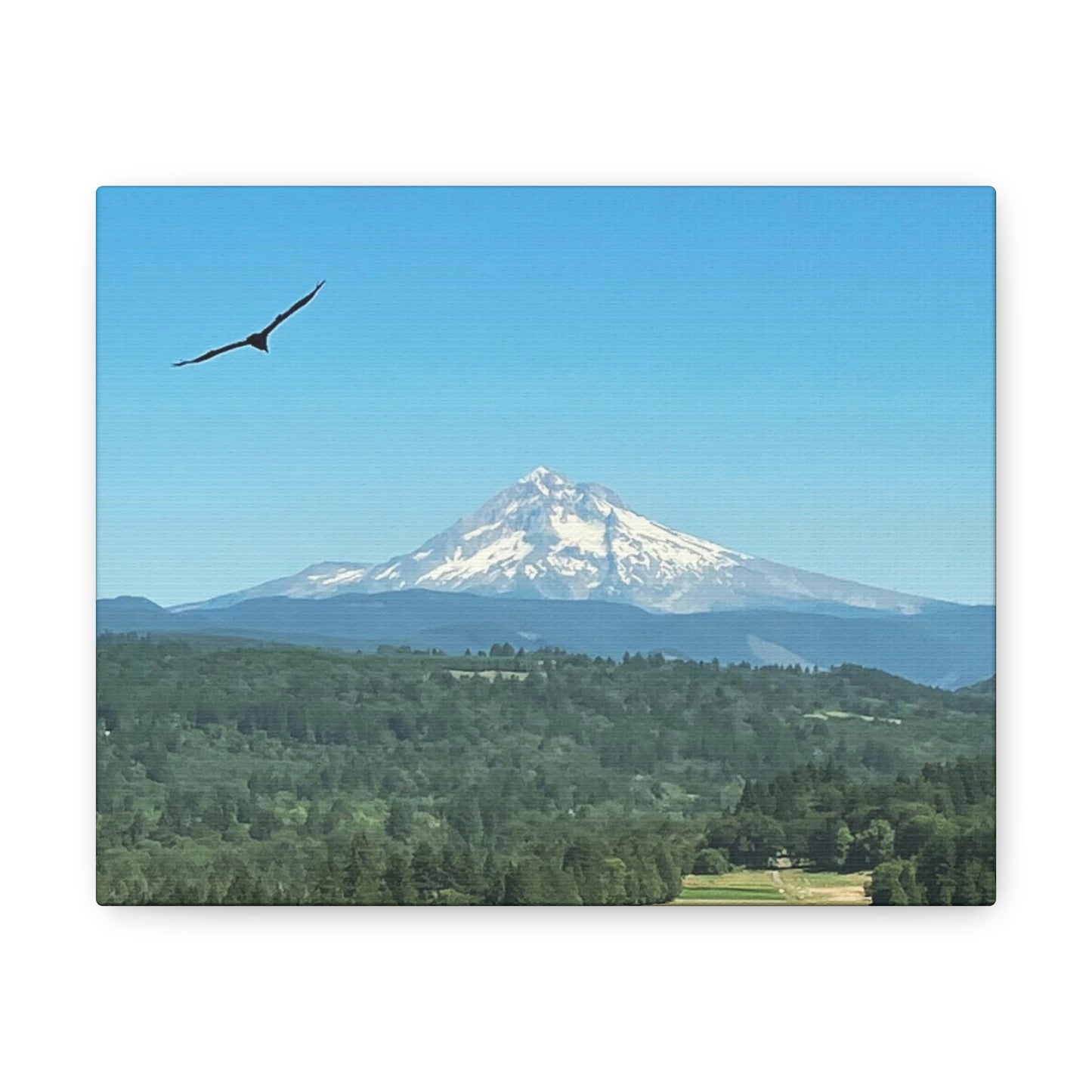 Mt Hood Scenic Canvas Gallery Wraps