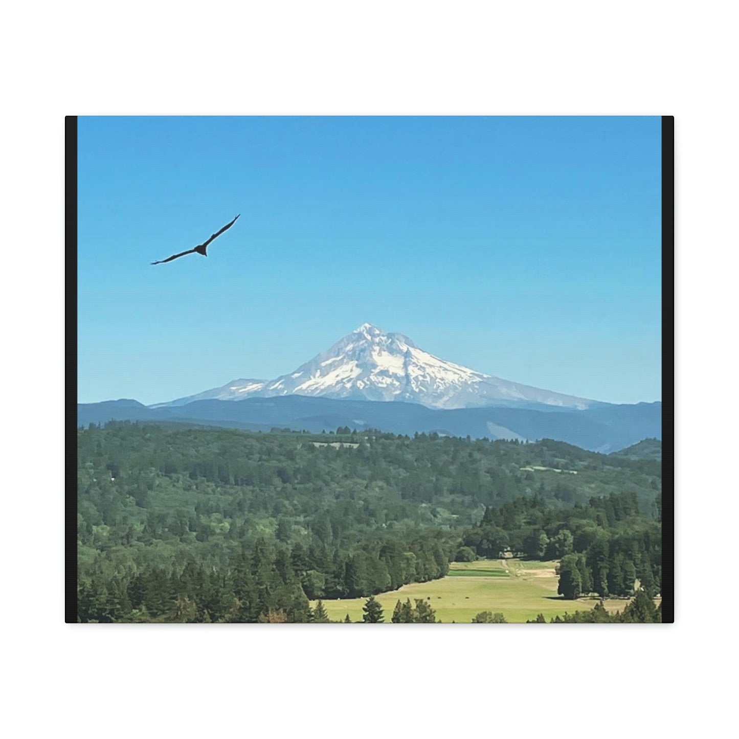 Mt Hood Scenic Canvas Gallery Wraps