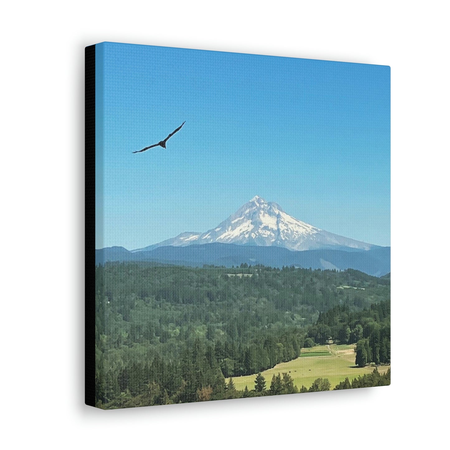 Mt Hood Scenic Canvas Gallery Wraps