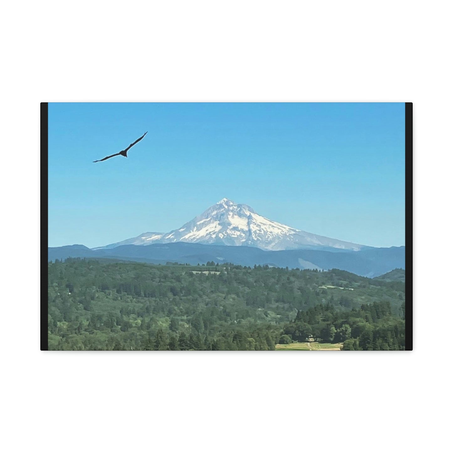 Mt Hood Scenic Canvas Gallery Wraps